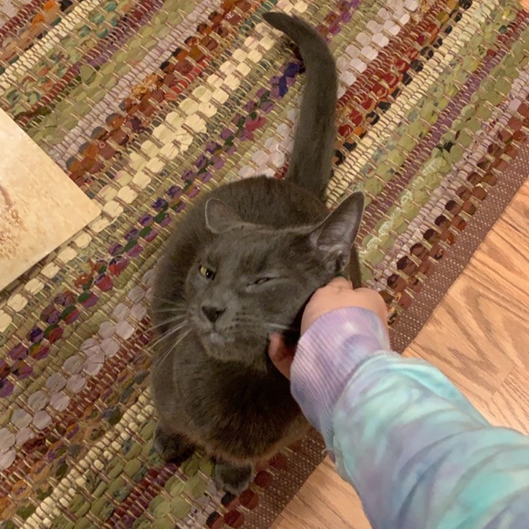 Meet your Posher, Kristen - Picture 8 of 13